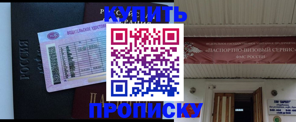 временная регистрация поиск в Камчатской области