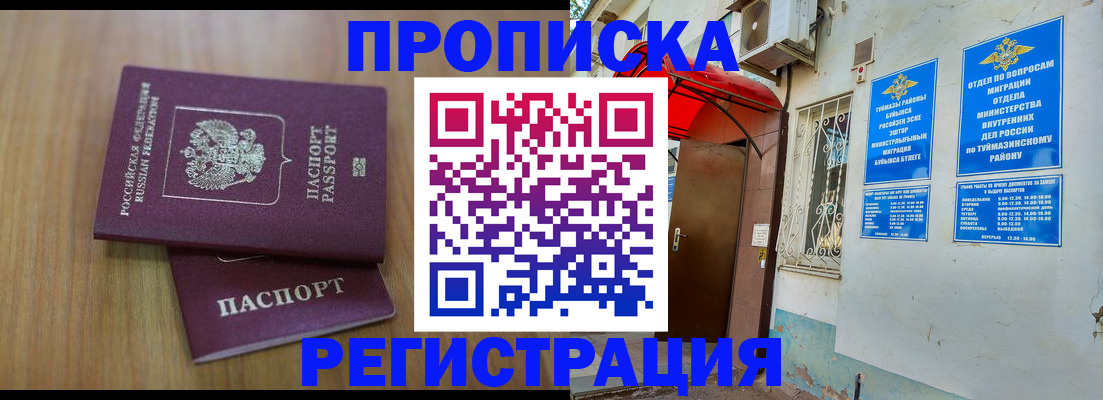 форма 3 в Камчатской области
